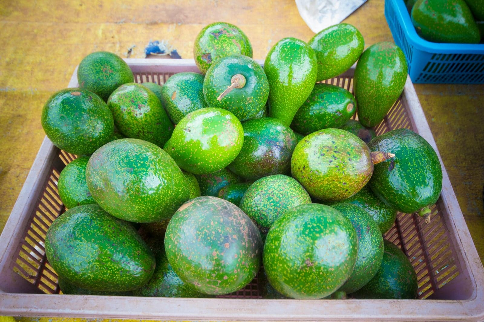 Premium Avocado Box (12 pcs)